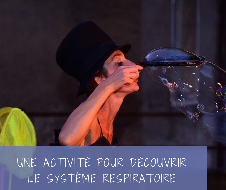 You are currently viewing Quelle activité simple pour découvrir le système respiratoire?
