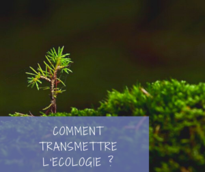 Read more about the article Comment transmettre l’écologie à nos enfants?