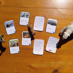Jeu de cartes – Lieu de vie des animaux